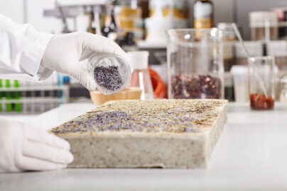 A Practical Guide to Mold Testing in Post Oak Houston
