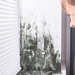 Control the Moisture, Protect Your Health from Household Mold