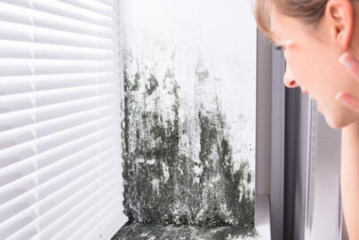 Control the Moisture, Protect Your Health from Household Mold