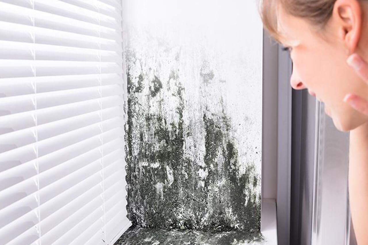 Control the Moisture, Protect Your Health from Household Mold