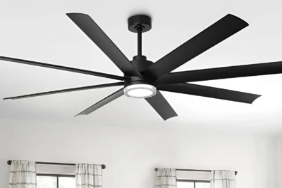Ceiling Fans
