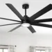 Ceiling Fans