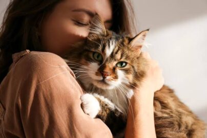 How to Make My Cat an Emotional Support Animal?