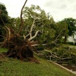 How Storm Damage Can Impact Your Home
