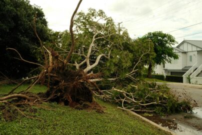 How Storm Damage Can Impact Your Home