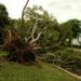 How Storm Damage Can Impact Your Home