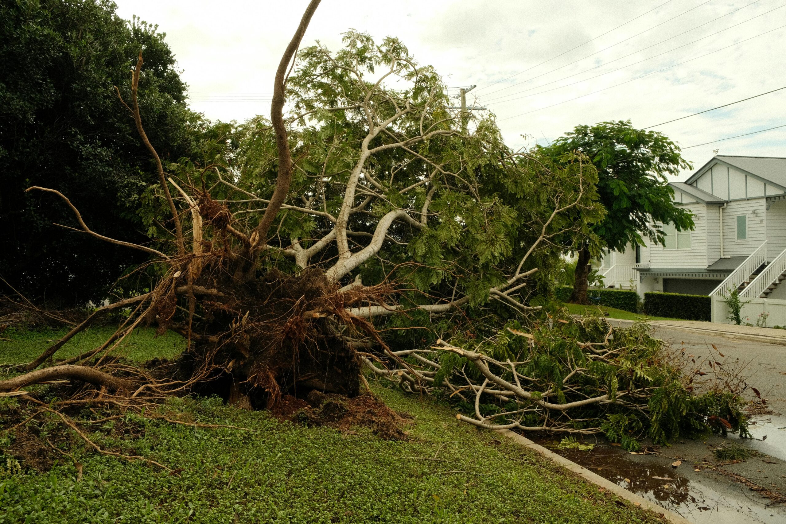 How Storm Damage Can Impact Your Home