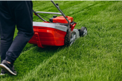 Lawn Care