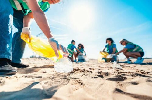The Importance of Beach Cleaning: How It Protects Our Shores