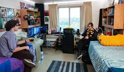 Best Student Living Options for Comfortable Campus Life